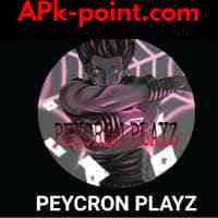 Peycron Patcher
